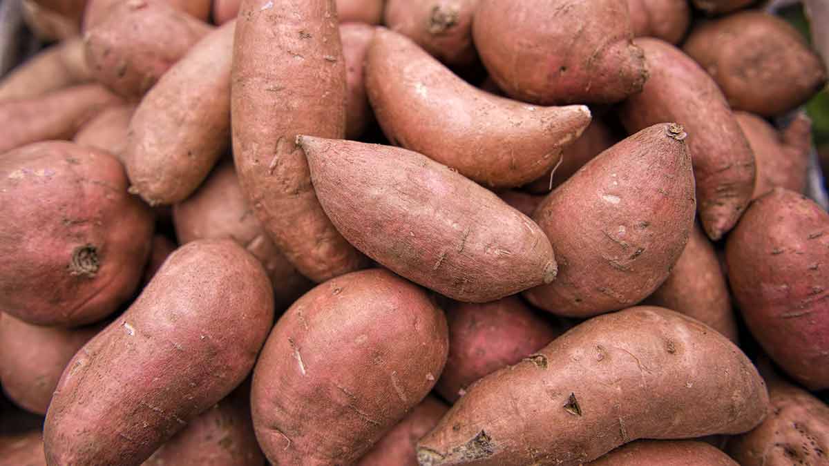 sweet-potato-grocery