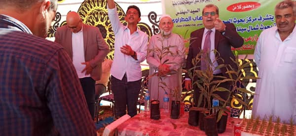 خلال الندوة