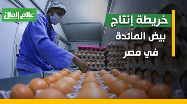 خريطة انتاج البيض فى مصر 