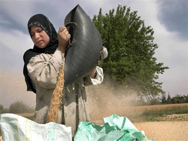 المرأة الريفية