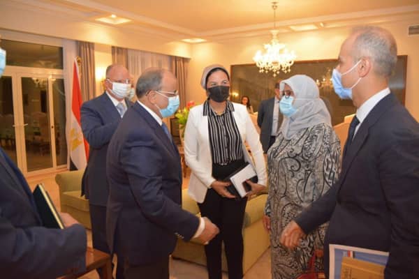 التنمية المحلية