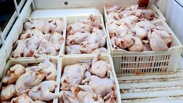  لحوم ودواجن غير صالحة 