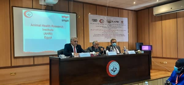 خلال الدورة التدريبية 