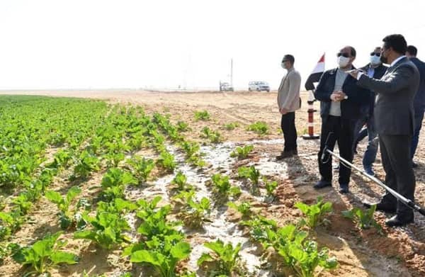 مشروع مستقبل مصر_ أرشيفية