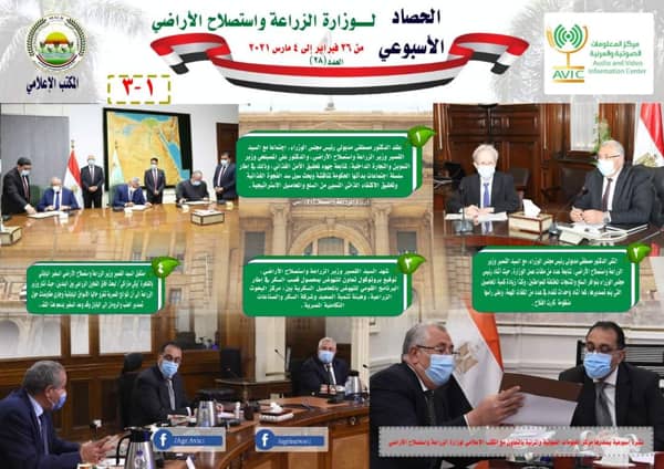 الثوم.
