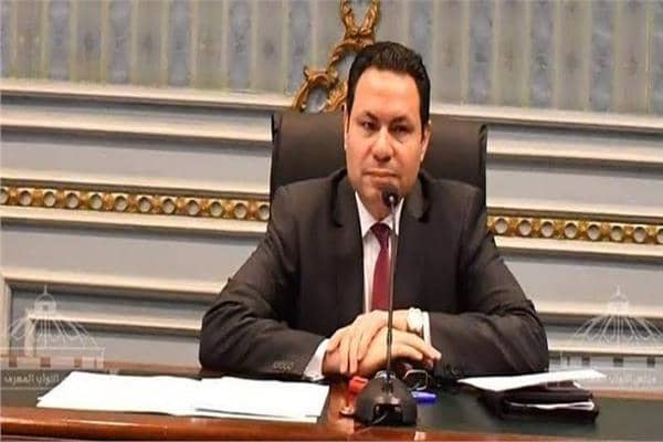 رئيس لجنة الزراعة والري بمجلس النواب