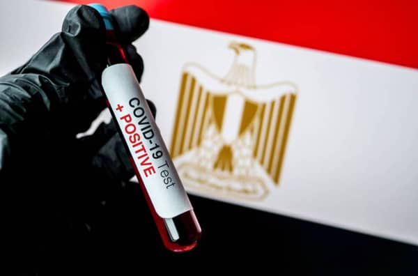 كورونا فى مصر