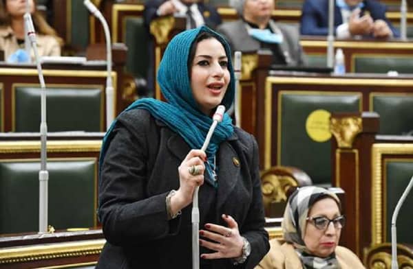 الدكتورة آيات الحداد عضو لجنة العلاقات الخارجية بمجلس النواب