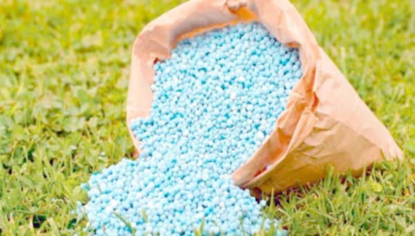 الأسمدة العضوية