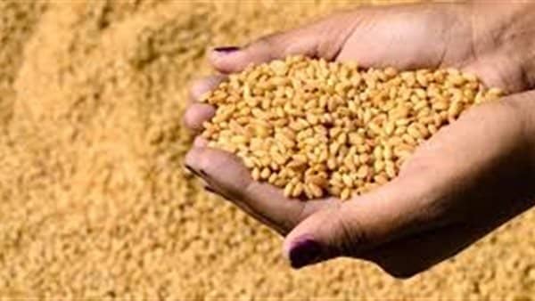 محطات الغربلة