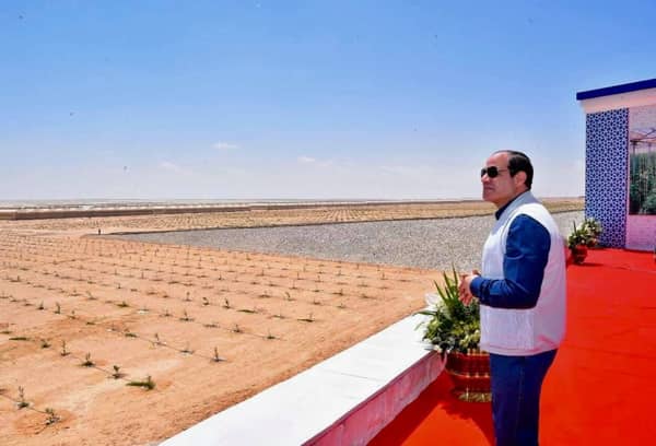 الرئيس السيسي 