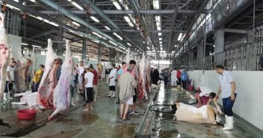 محافظات 