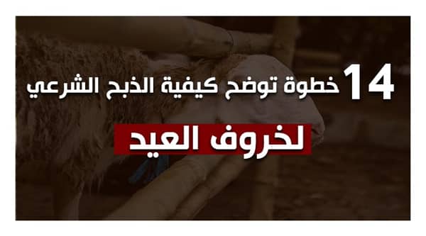 كيفية الذبح الشرعي لأضحية العيد