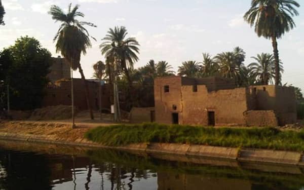 صعيد مصر