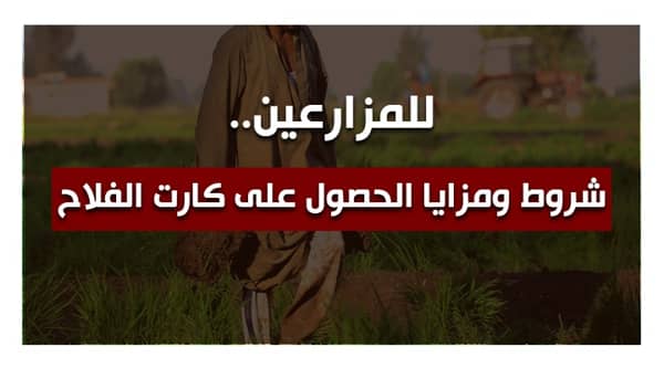 شروط ومزايا الحصول على كارت الفلاح 