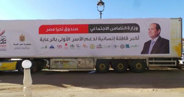 صندوق تحيا مصر