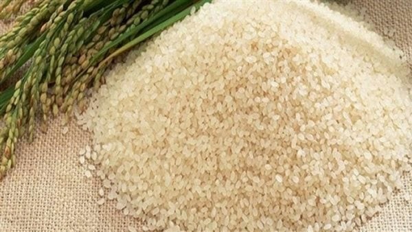 سعر الأرز