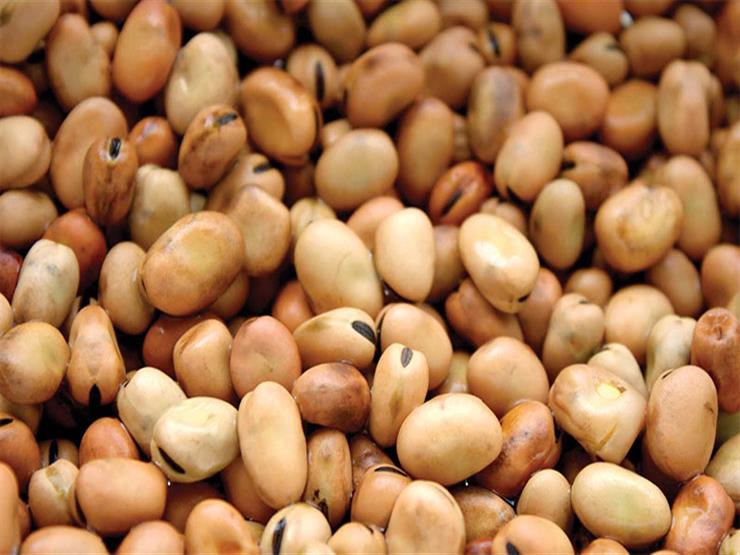 البقوليات