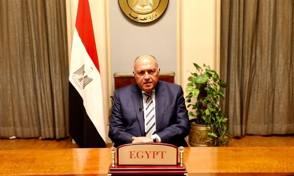 سامح شكري
