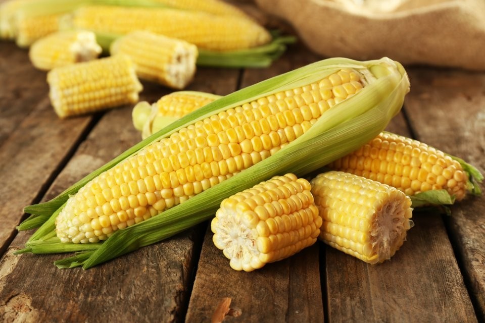 أسعار الذرة
