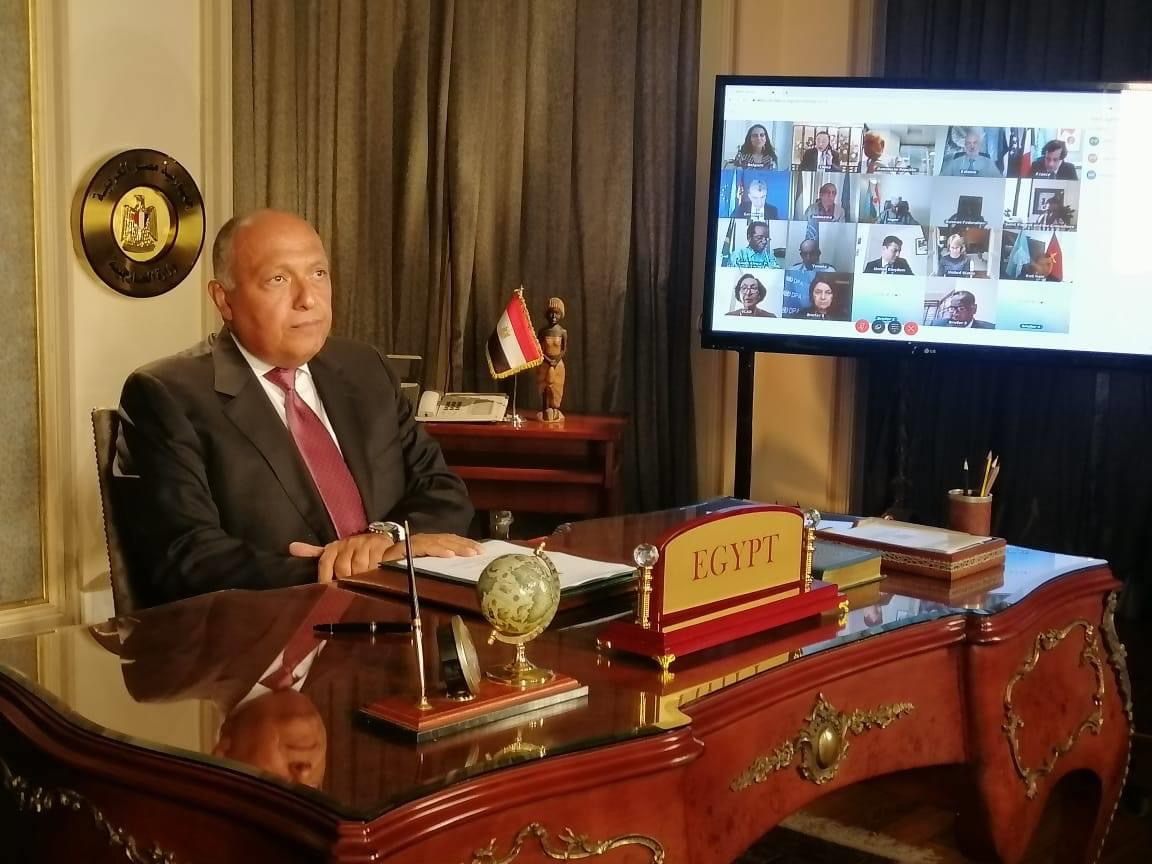 سامح شكرى وزير الخارجية