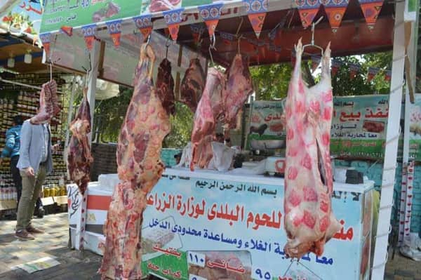 منافذ الزراعة- صورة أرشيفية