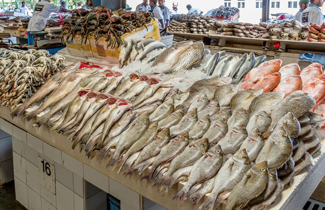 سعر السمك