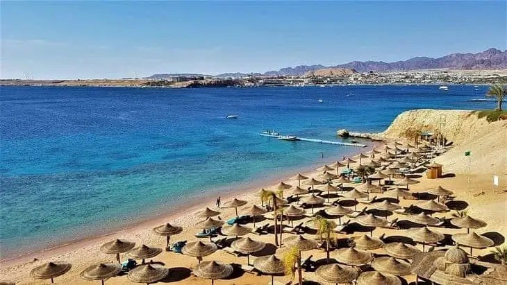 مرسى علم 