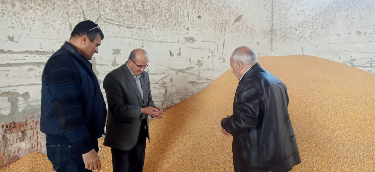 الزراعة تواصل التفتيش على مخازن ومصانع الأعلاف بالدقهلية