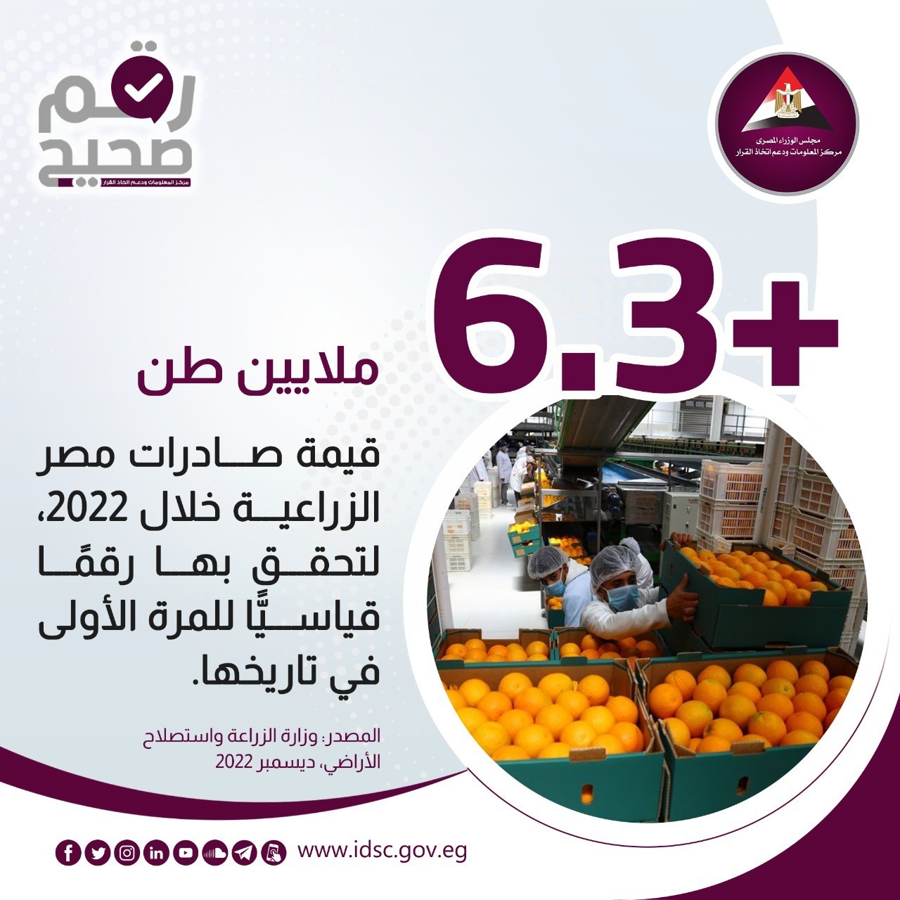 صادرات مصر الزراعية تحقق رقما قياسيًا خلال 2022