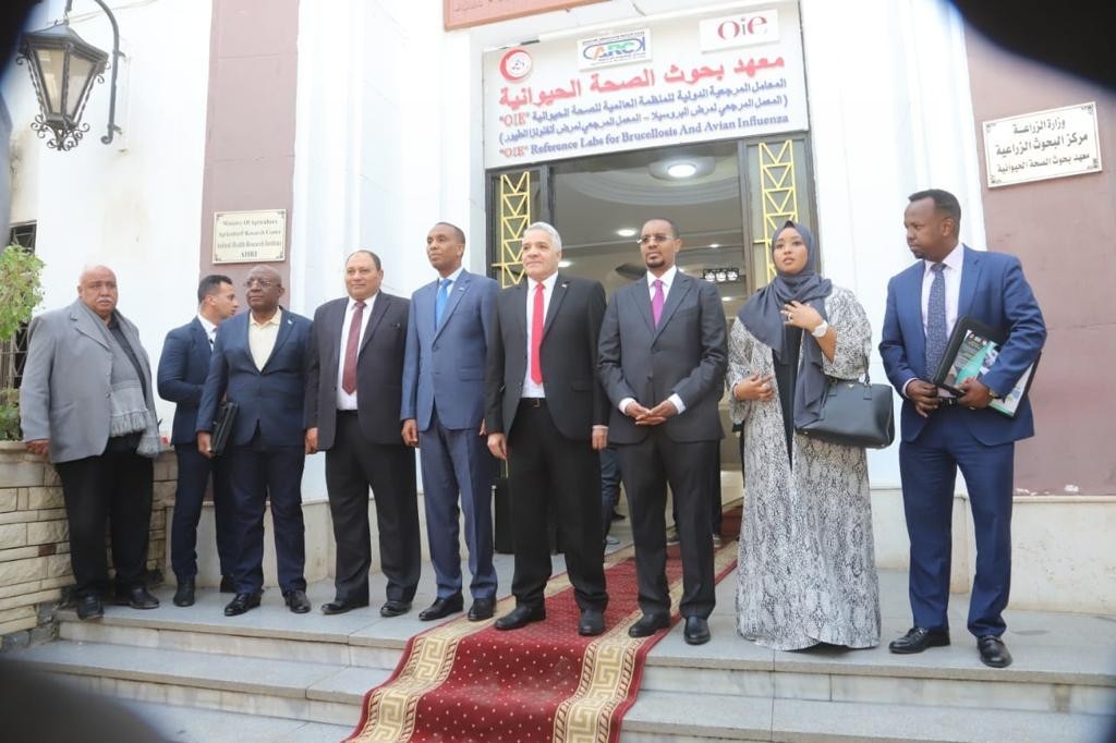 معهد بحوث الصحة الحيوانية