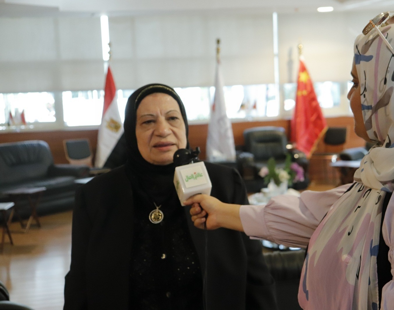 الدكتورة كريمة عبد الكريم رئيس مجلس أمناء الجامعة المصرية الصينية