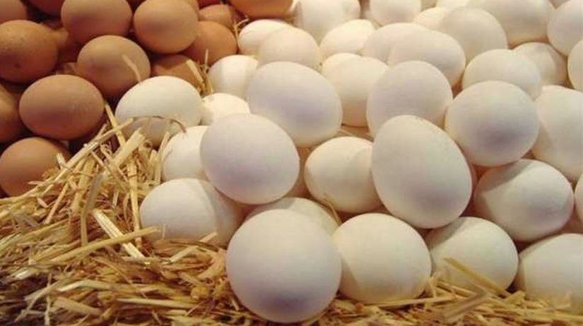 أسعار البيض