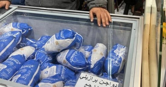 دواجن مستوردة