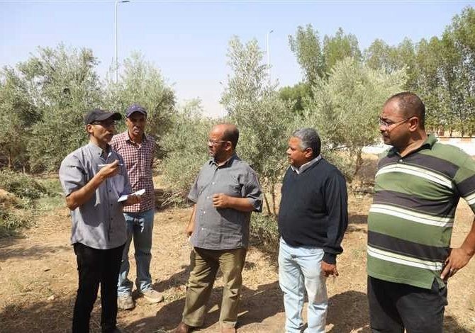لجنة من زراعة أسيوط