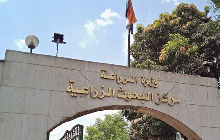 مركز البحوث الزراعية