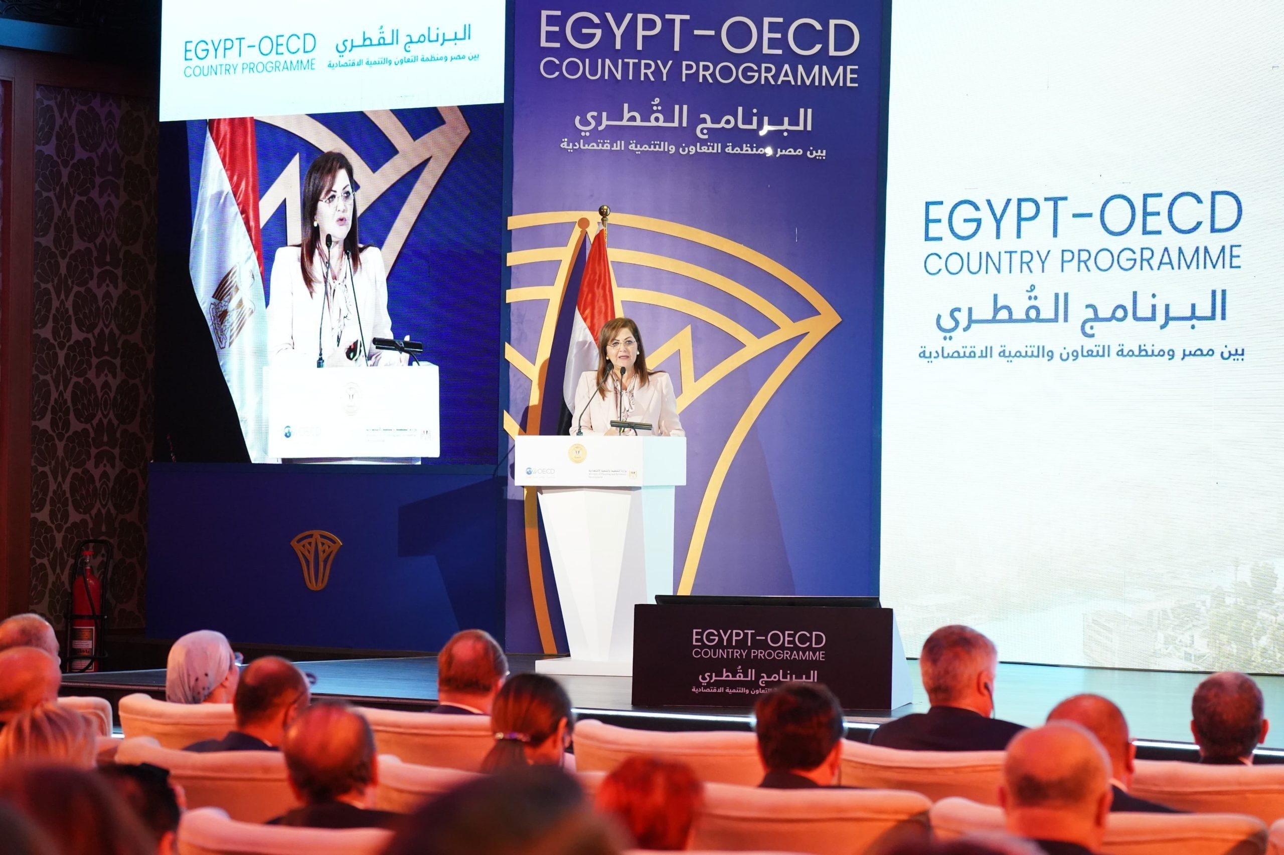 وزيرة التخطيط