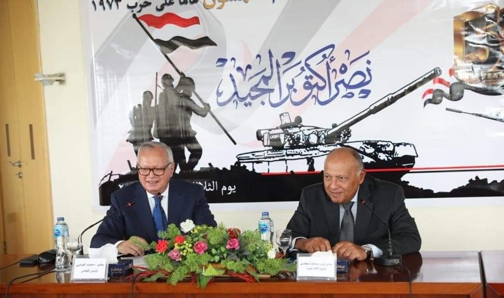 وزير الخارجية سامح شكرى