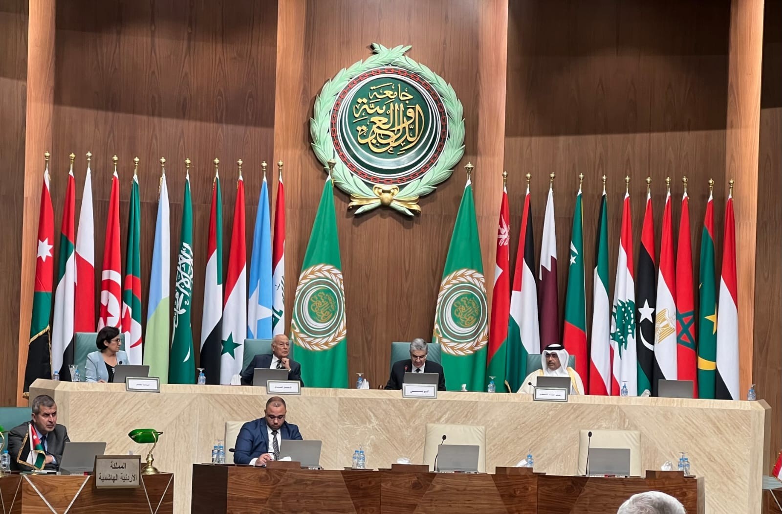 وزير الكهرباء بجامعة الدول العربية 