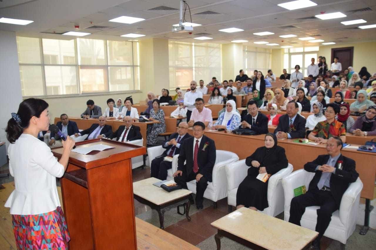 الجامعة المصرية الصينية