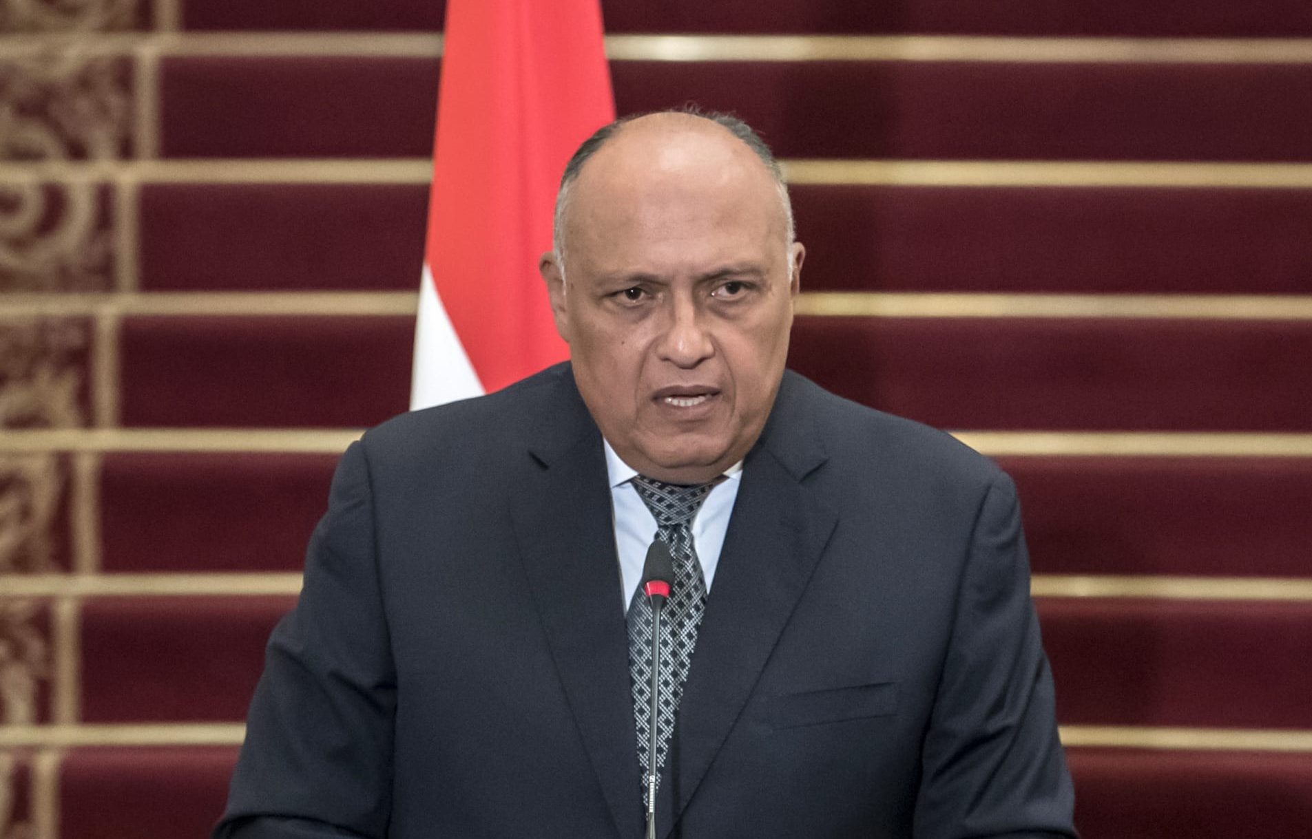 سامح شكرى وزير الخارجية