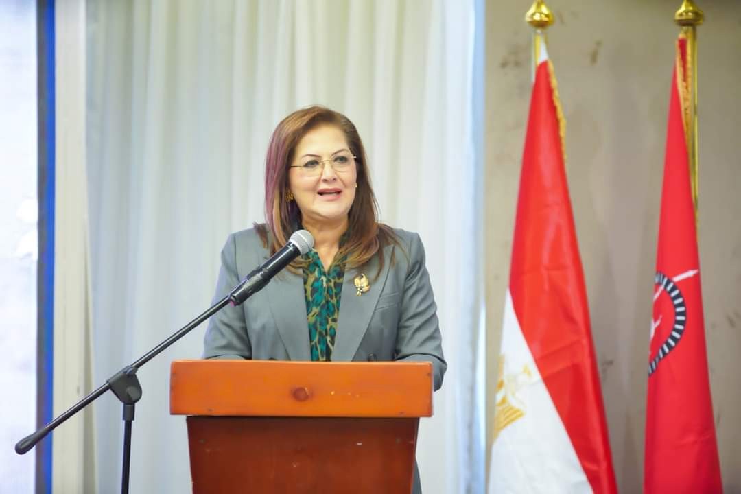 مصر للتامين و وزارة التخطيط 