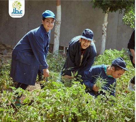 صندوق عطاء