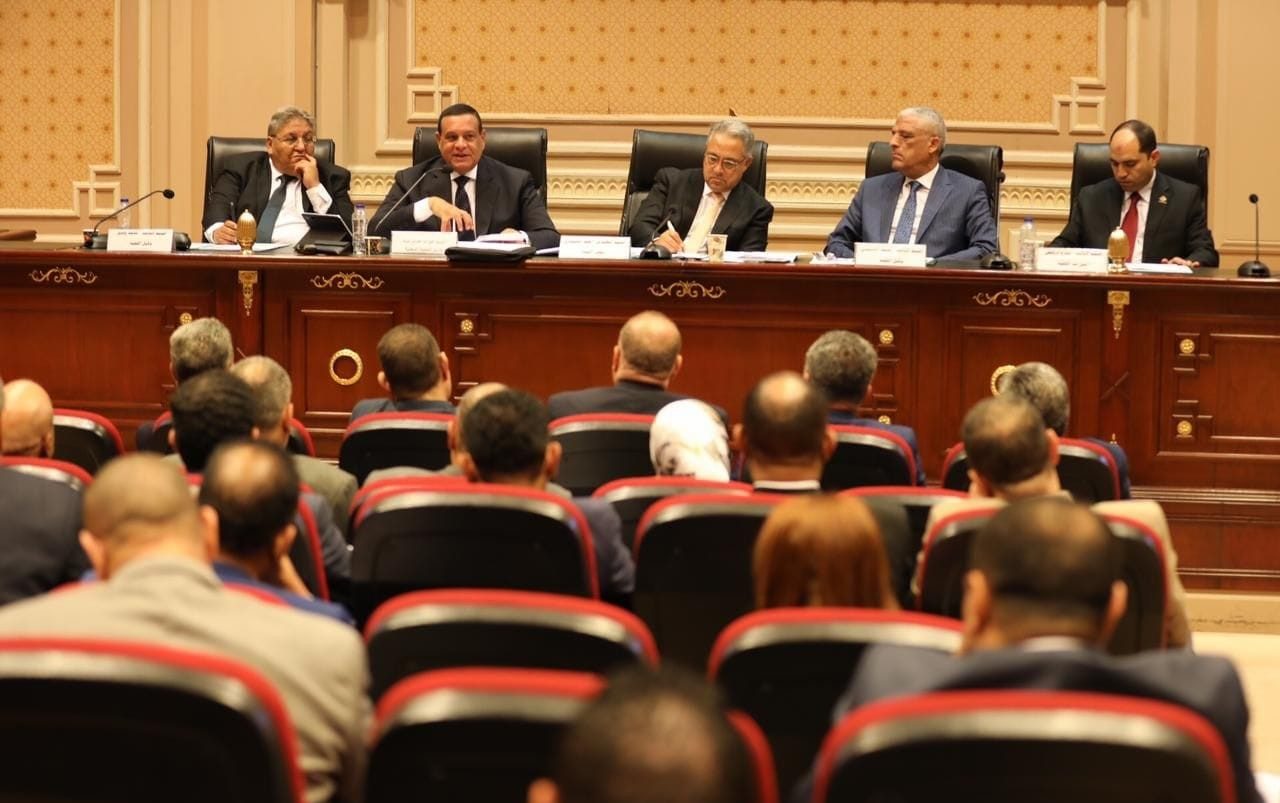 وزير التنمية المحلية يستعرض الموقف التنفيذي لبرنامج التنمية المحلية بصعيد