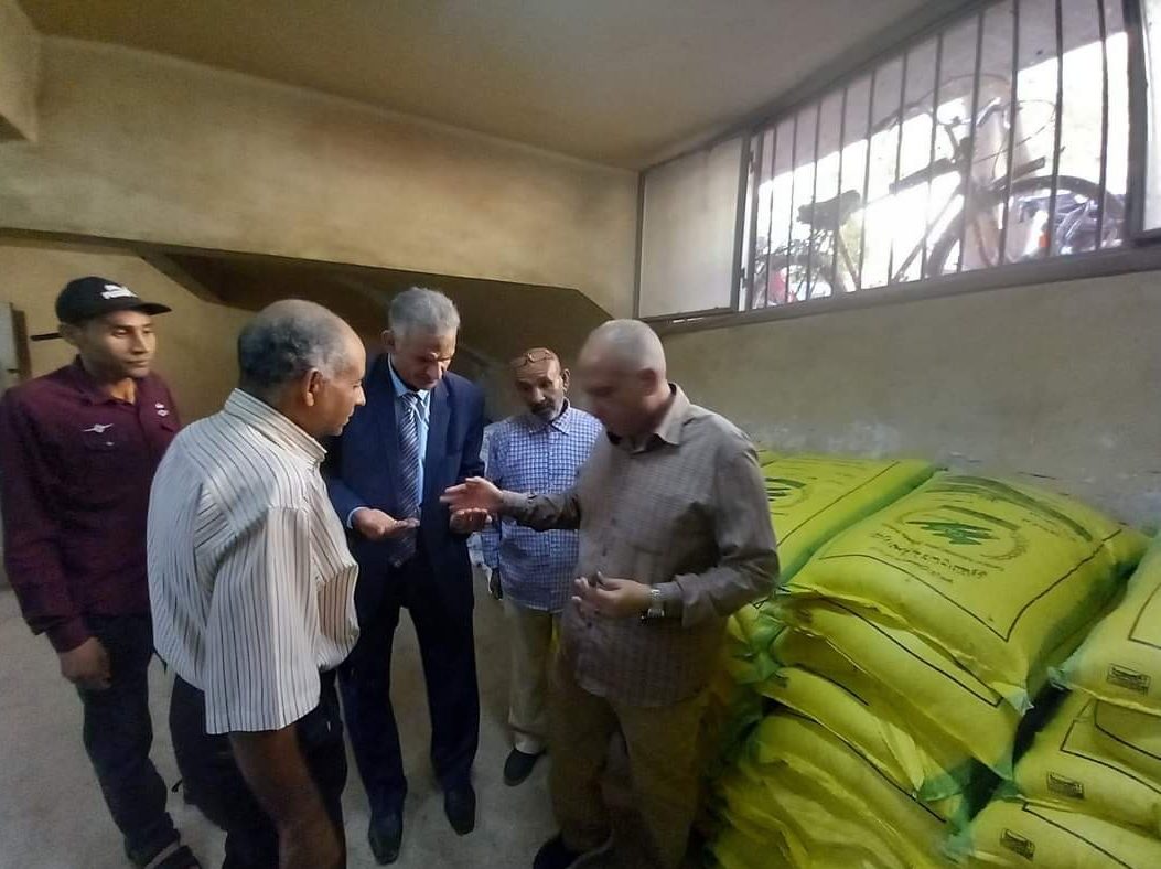 الزراعة توفر تقاوى القمح المعتمدة 