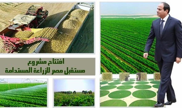 إنجازات الرئيس السيسي خلال 10 سنوات