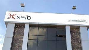 بنك سايب