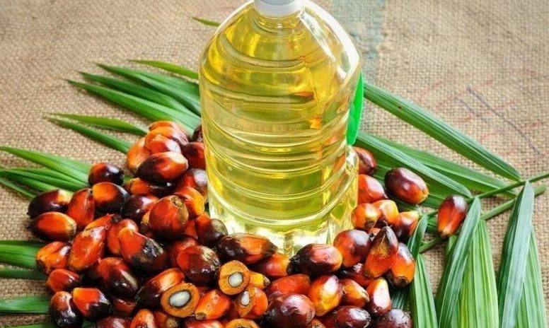 زيت النخيل