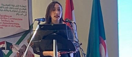 سارة إبراهيم المدير التنفيذى للمجلس التصديرى للطباعة والتغليف