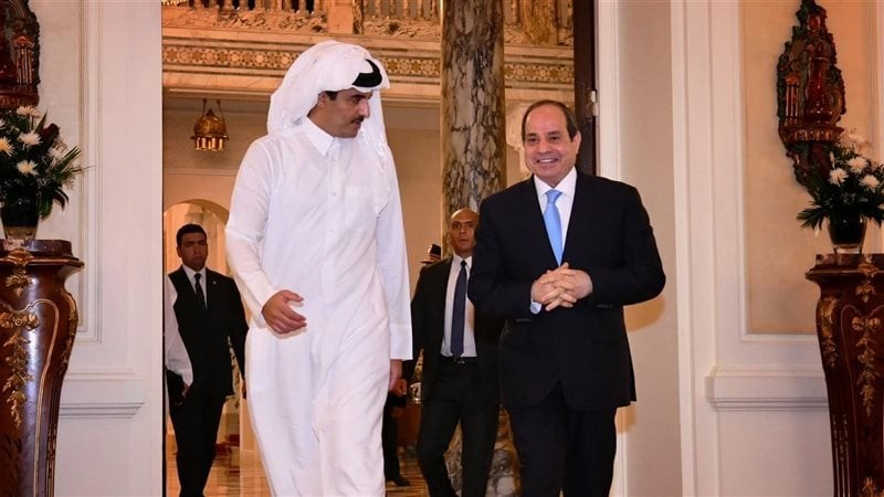 الرئيس السيسي 